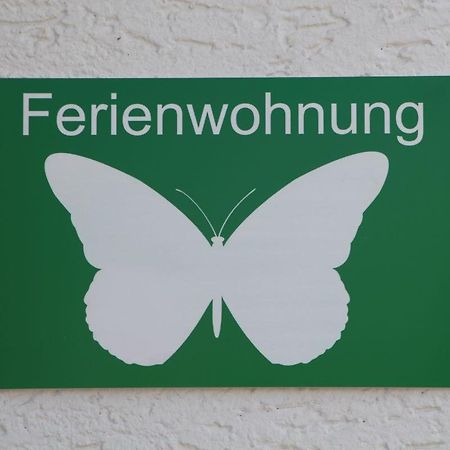 Ferienwohnung Schmetterling Trendelburg Екстер'єр фото